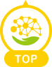 TOPへ